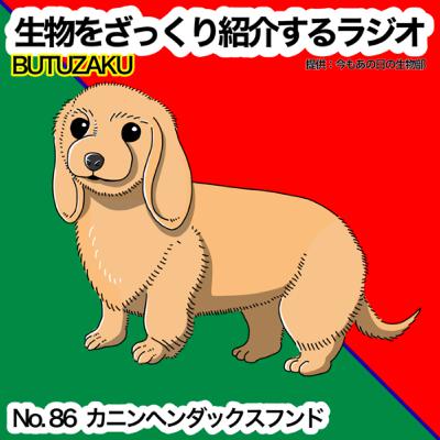 第86話：📮「カニンヘンダックスフンド」をざっくり紹介