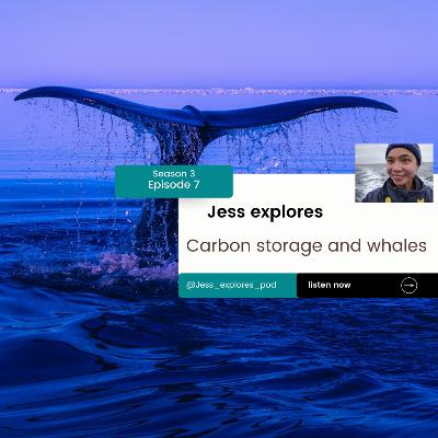 Carbon storage and whales Carbon storage and whales