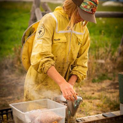 Sarah Red-Laird and the Bee Girl Organization: Creating a Buzz about Bee-Friendly Habitats