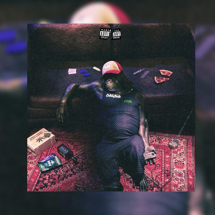 Sina Mafee FtCatchyBeatz&RiRi - Gorilla