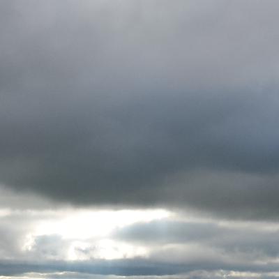 Out of the Whirlwind by Sharon Pasula