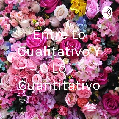 Entre lo cualitativo y lo cuantitativo