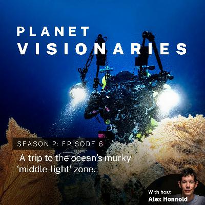 What are ‘deep' reefs’?