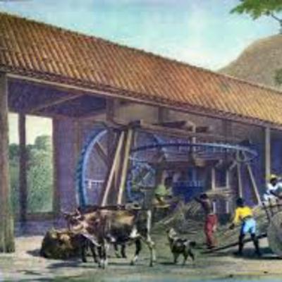 Brasil colônia: economia e Brasil holandês.