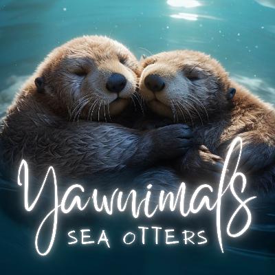 Sea otters 🦦