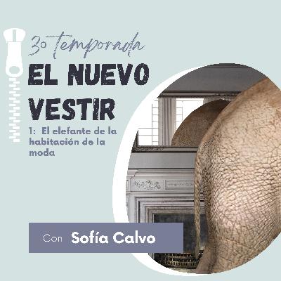 1. El elefante de la habitación de la moda