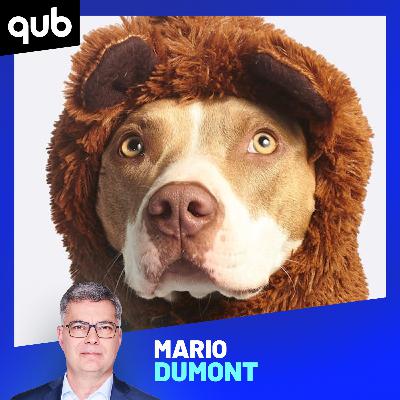 Tom Brady a fait cloner… son chien!