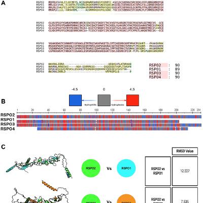 New Gene Linked to Aggressive, Treatment-Resistant Prostate Cancer
