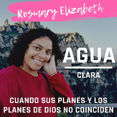 CUANDO SUS PLANES Y LOS PLANES DE DIOS NO COINCIDEN