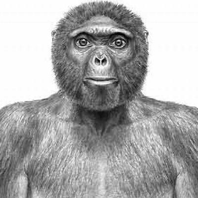 13. Evolución humana: En busca del primer hominino (Parte II)