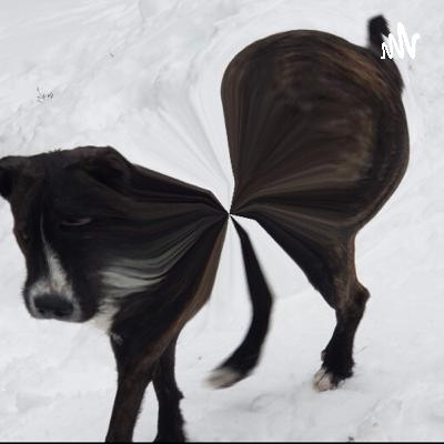 Come back for more updates  (Trailer)