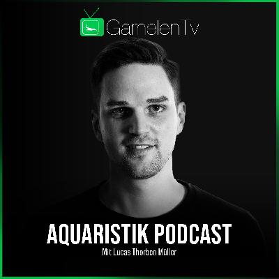 Eigener Aquaristik Laden - GarnelenTv - Folge 31