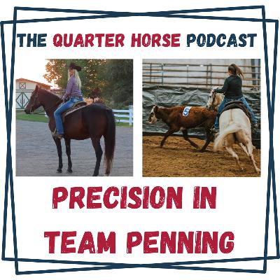 Quarter Horse: Precision in Team Penning Quarter Horse: Precision in Team Penning