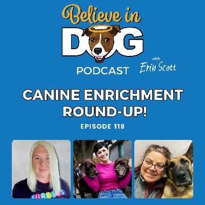 Canine Enrichment Round-Up!