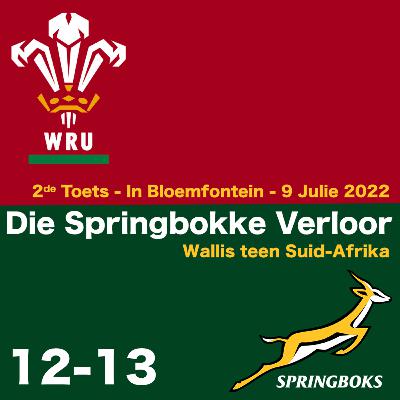 Die Bokke Verloor 12-13 in die 2de Toets teen Wallis in Bloemfontein - Episode 7