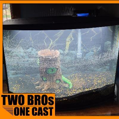 Setting up my fish tank with Garrett Murphy