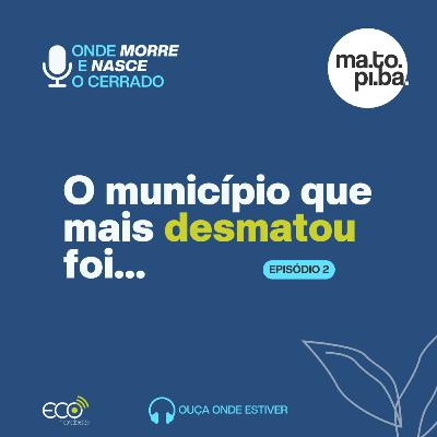 #049 - Onde morre e nasce o Cerrado | O município do Matopiba que mais desmatou foi...