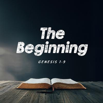 The Beginning The Beginning