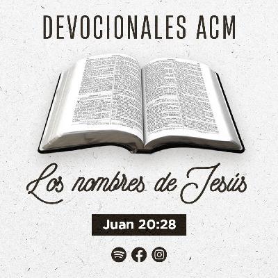 Los nombres de Jesús | Juan 20:28 Los nombres de Jesús | Juan 20:28