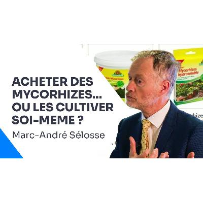 Mycorhizes : mode d’emploi pour des sols vivants, Marc-André Sélosse Mycorhizes : mode d’emploi pour des sols vivants, Marc-André Sélosse