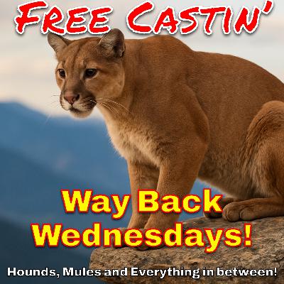 Opinions are like A$$HOLES! Opinions are like A$$HOLES!