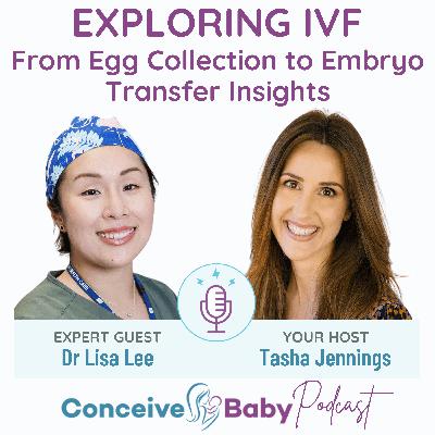 Exploring IVF: From Egg Collection to Embryo Transfer Insights
