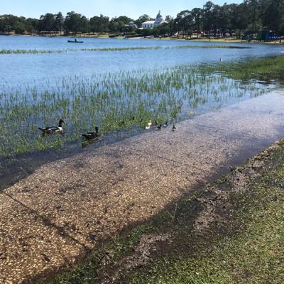 New World Translation part one (class)