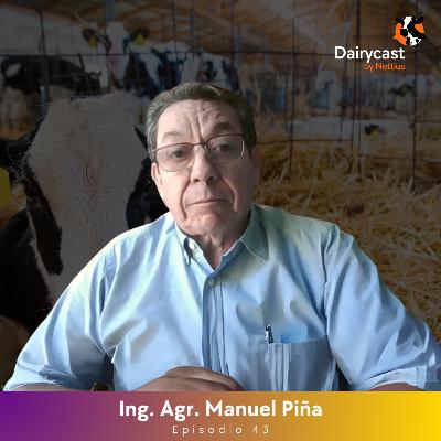 #43 - Ensilaje de maíz: Clave para bajar costos y subir litros de leche - Ing. Agr. Manuel Piña #43 - Ensilaje de maíz: Clave para bajar costos y subir litros de leche - Ing. Agr. Manuel Piña