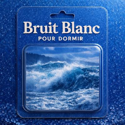 1 H Bruit Blanc pour DORMIR ou se relaxer | La Houle de la mer 1 H Bruit Blanc pour DORMIR ou se relaxer | La Houle de la mer