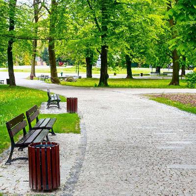 Élections municipales : des villes plus vertes et résilientes Élections municipales : des villes plus vertes et résilientes