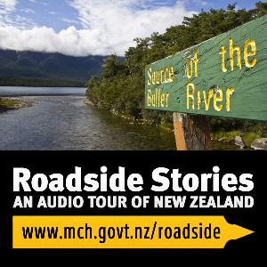 Brunner on the Buller