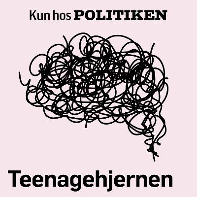 Risiko: Dødsforagt og tankeløshed er en del af at være teenager Risiko: Dødsforagt og tankeløshed er en del af at være teenager