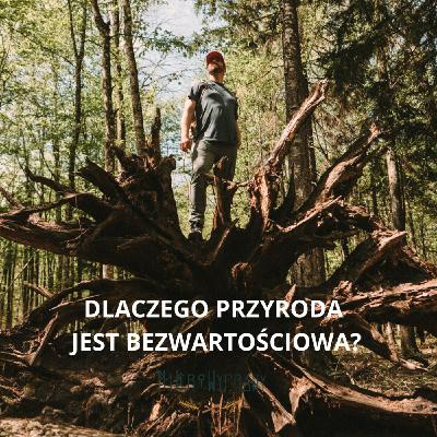 DLACZEGO PRZYRODA JEST BEZWARTOŚCIOWA?