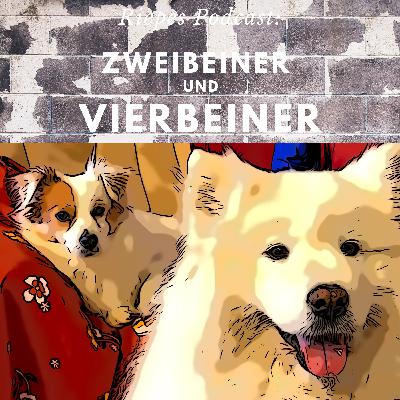 Der Boss uriniert zuletzt