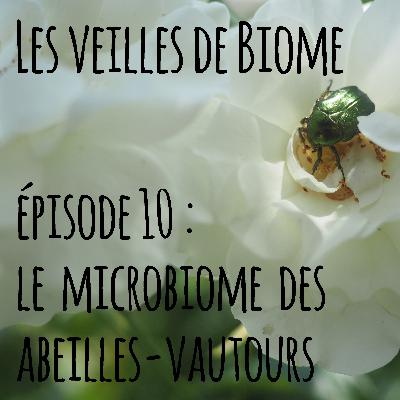 Les veilles de Biome - épisode 10 : le microbiome des abeilles vautours