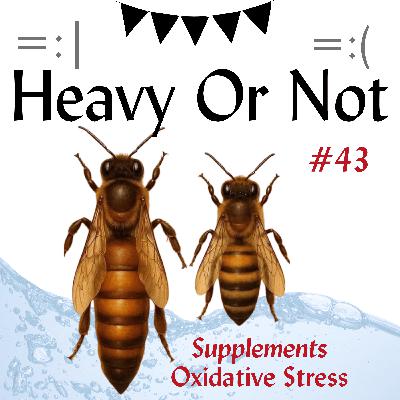 Flooding Emotions, Queen and Worker Bees, Enhanced Games and Supplementing Your Income with Feel Good, Natural Supplements