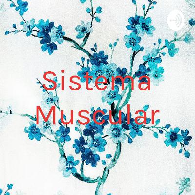Datos curiosos hacerca del sistema muscular, funciones y procesos.