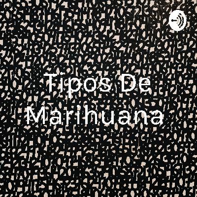 Tipos de marihuana