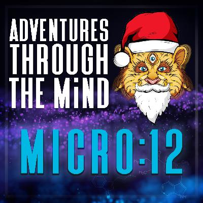 MICRO:12 - Mushroom Santa Confusion, Tom Hatsis