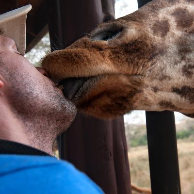#17 - Å kysse en sjiraff og andre dyriske opplevelser #17 - Å kysse en sjiraff og andre dyriske opplevelser
