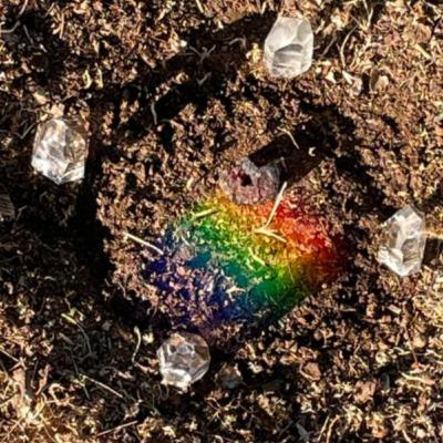 The Prism of Relationship