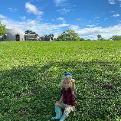 Dome Home/Farm/Life Update: dome progress; residency vs. citizenship; Panama elections; milking cows