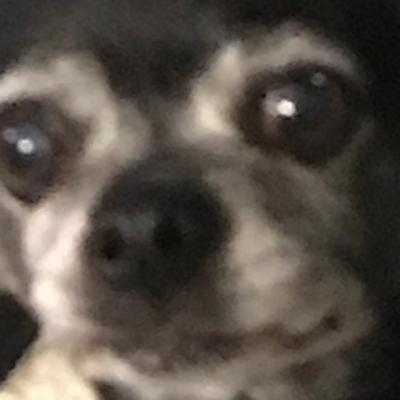 Drawing tutorial part two Drawing tutorial part two