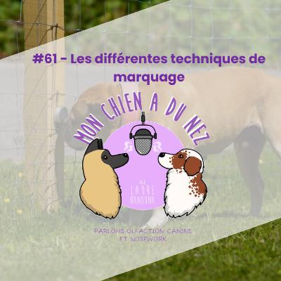 #61 - Les différentes techniques de marquage