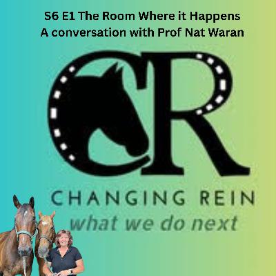 S6 E1 The Room Where it Happens - a conversation with Prof Nat Waran S6 E1 The Room Where it Happens - a conversation with Prof Nat Waran
