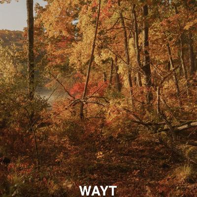 WAYT EP. 321 WAYT EP. 321