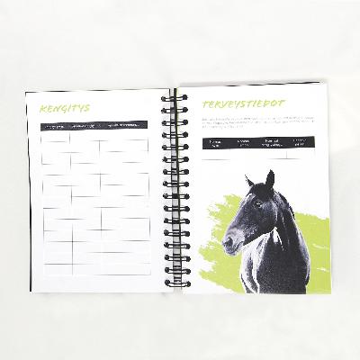 Suunnitelmallisuutta hevosen valmennukseen