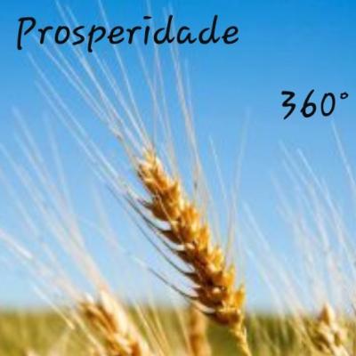 FAMÍLIA E MARMITA O QUE ISSO TEM HAVER?