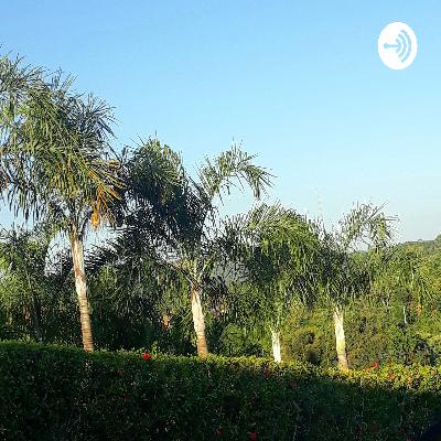 Jornada Não Temas - Tema 21: NÃO TEMAS!!