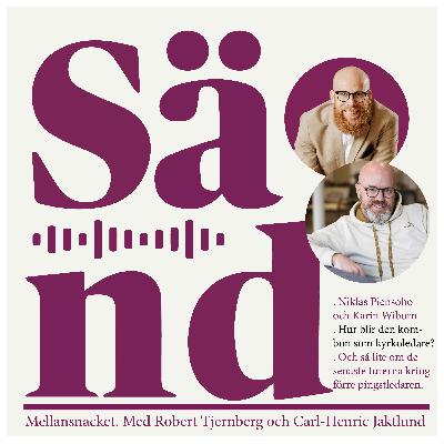 Ep 49: Mellansnack om Piensoho